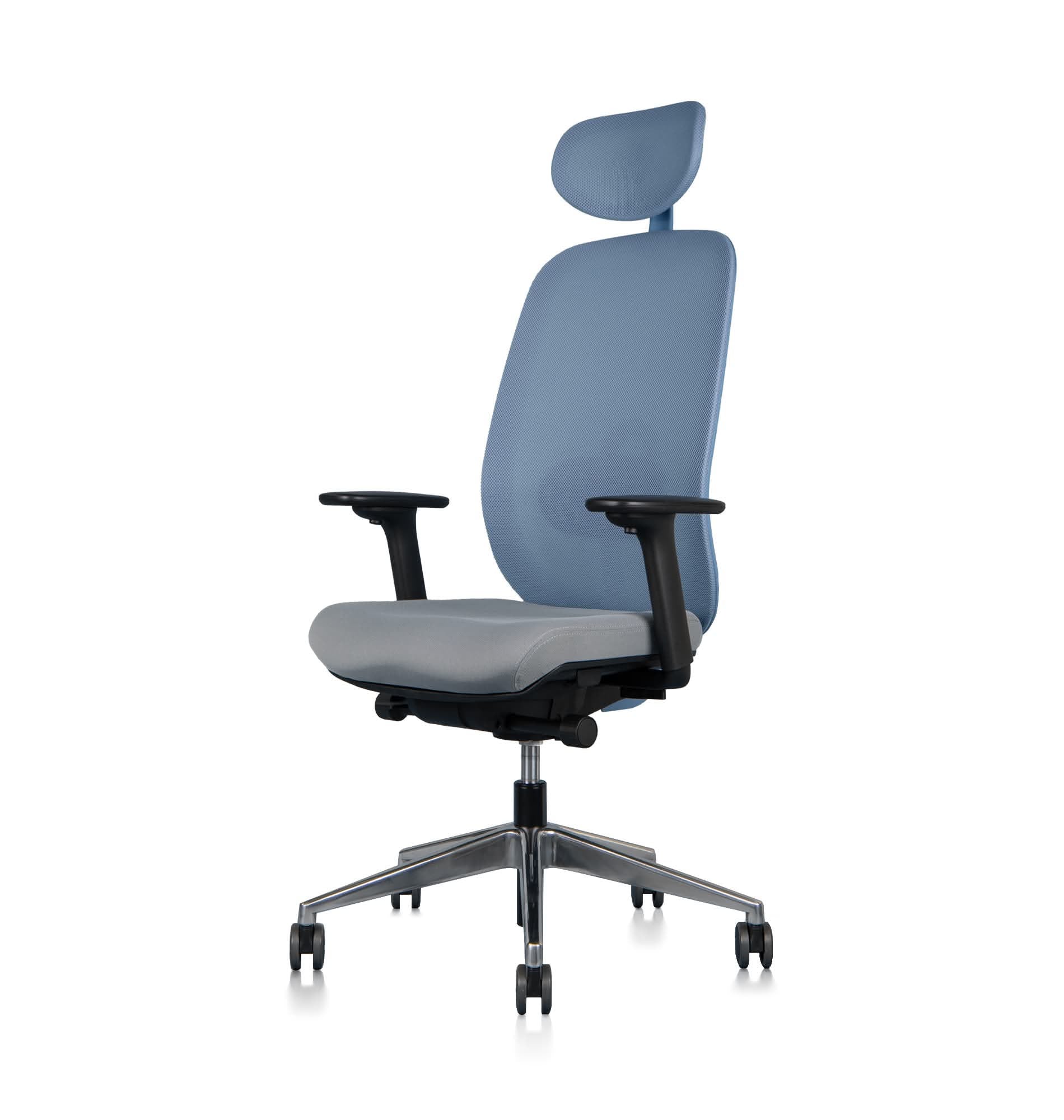 ErgoFlex 45° front view